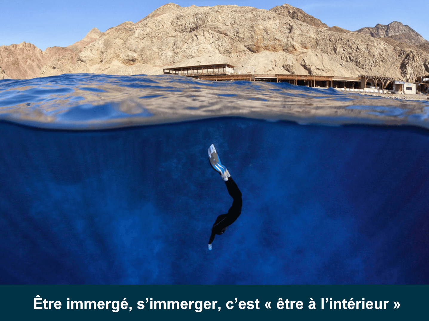 Dans l'eau, un individu vêtu d'une combinaison de plonger sous-marine et de palmes s'enfonce vers les abimes.